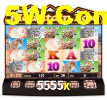 5555x: A Experiência de Casino com Jogos de Mesa ao Vivo